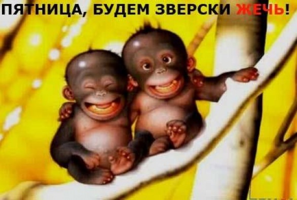 №100, Татьяна Степахина, 41 год, Новосибирск №100, Татьяна Степахина, 41 год, Новосибирск