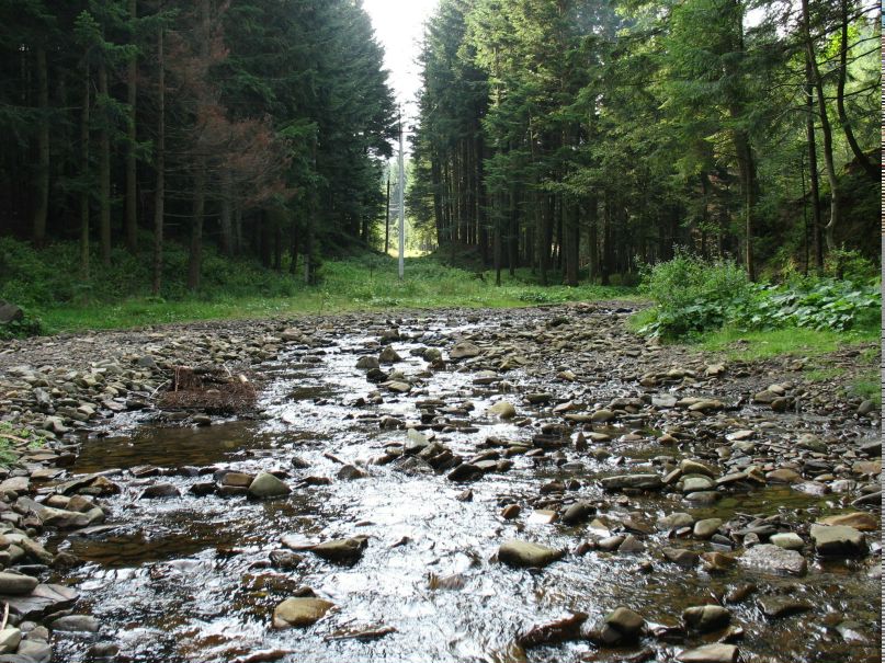 Тарас Демчина | Червоноград