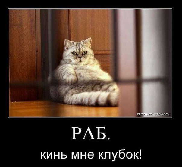 Слава Култышев | Мурманск