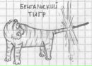 Фотография Михаил Нечаев