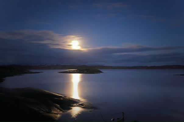 №156, Мария Никулина, Мурманск №156, Мария Никулина, Мурманск