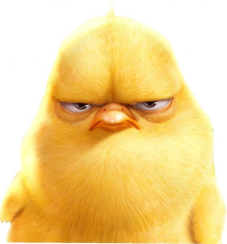 Виктория Турышева | 