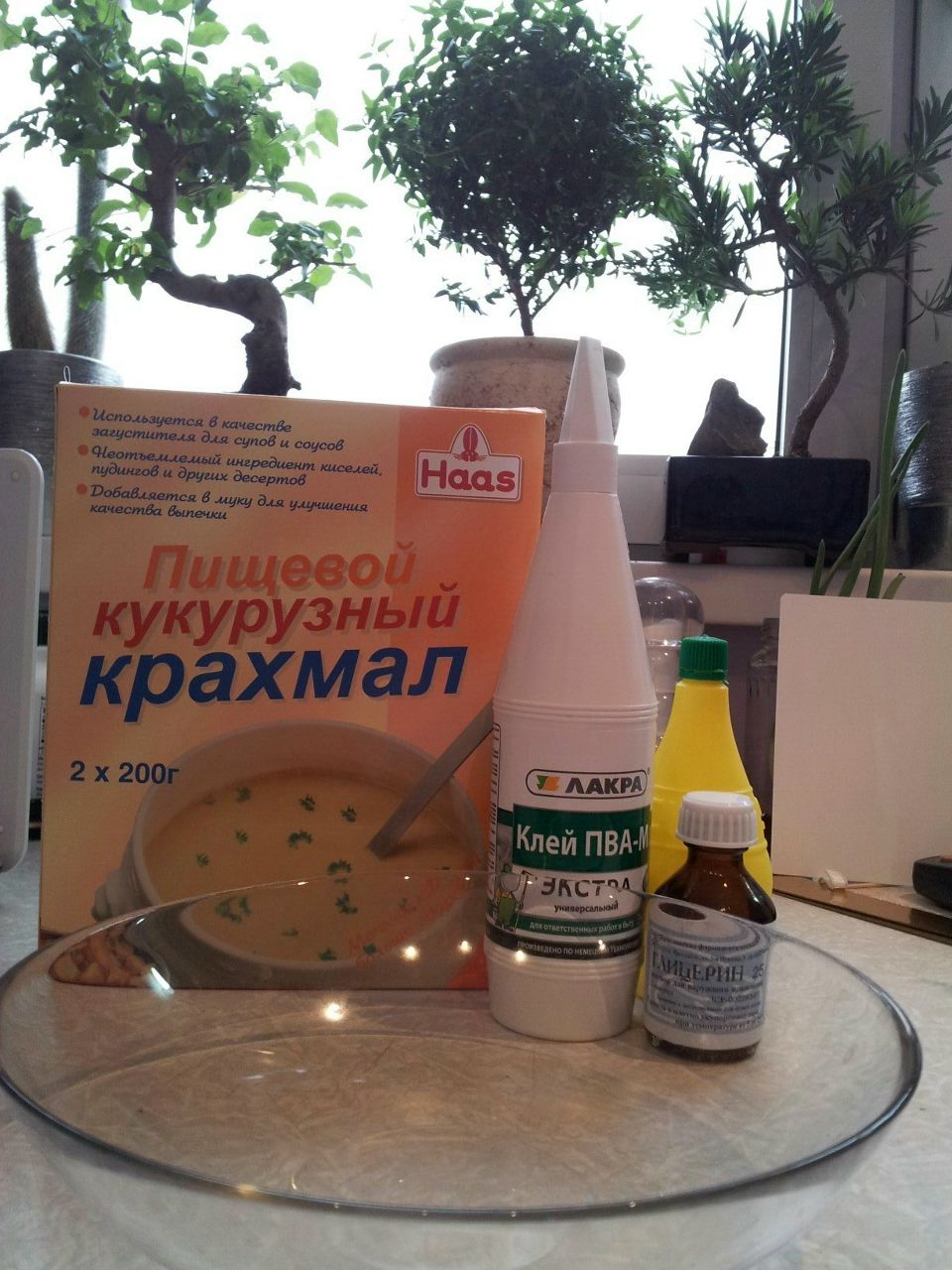 Ирина Ильина | Москва