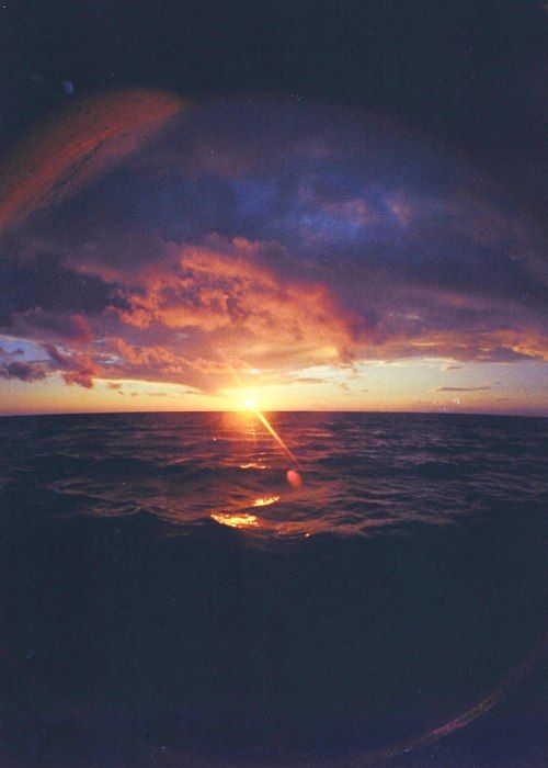 Полина Плеханова | Москва