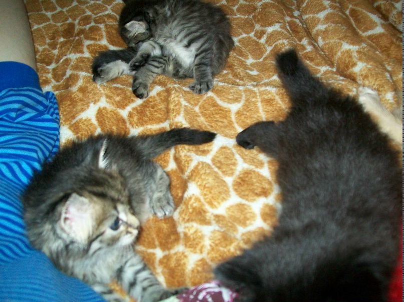 Гульнара Галиева | Уфа