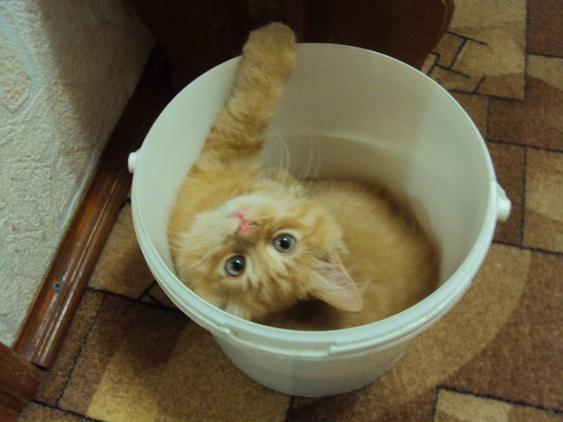 Ирина Тяканова | Малоярославец