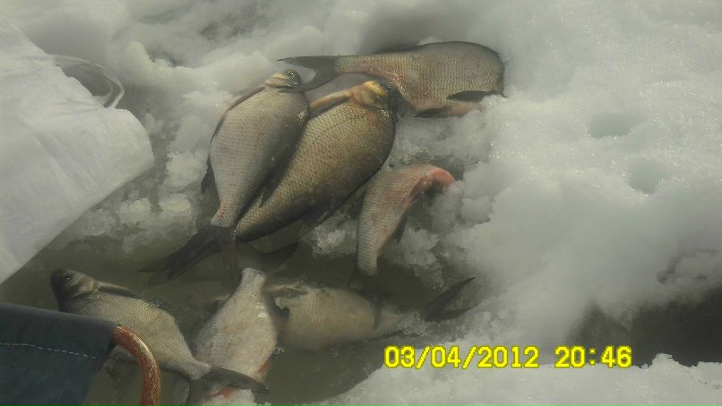 Михаил Силин | Пермь