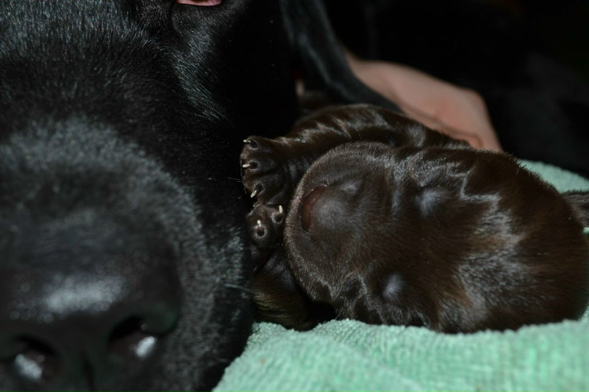 Екатерина Пируева | 