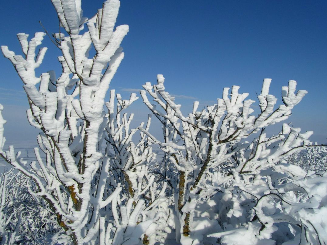 Владислав Коник | Старый Крым