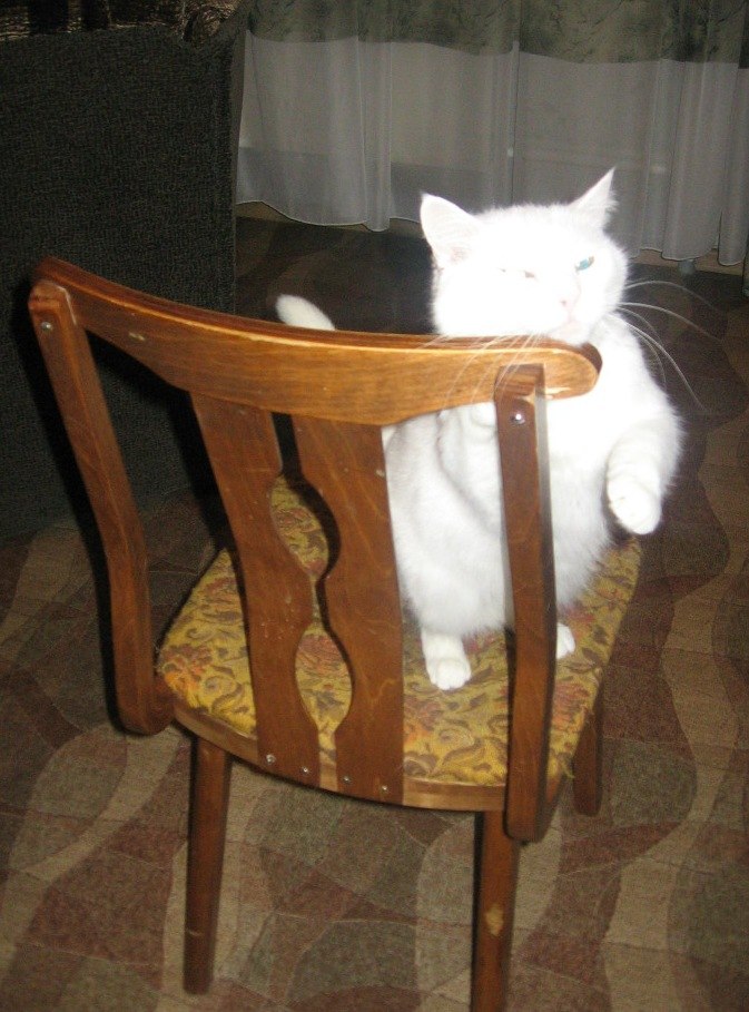 Дмитрий Лукашенко | Петрозаводск