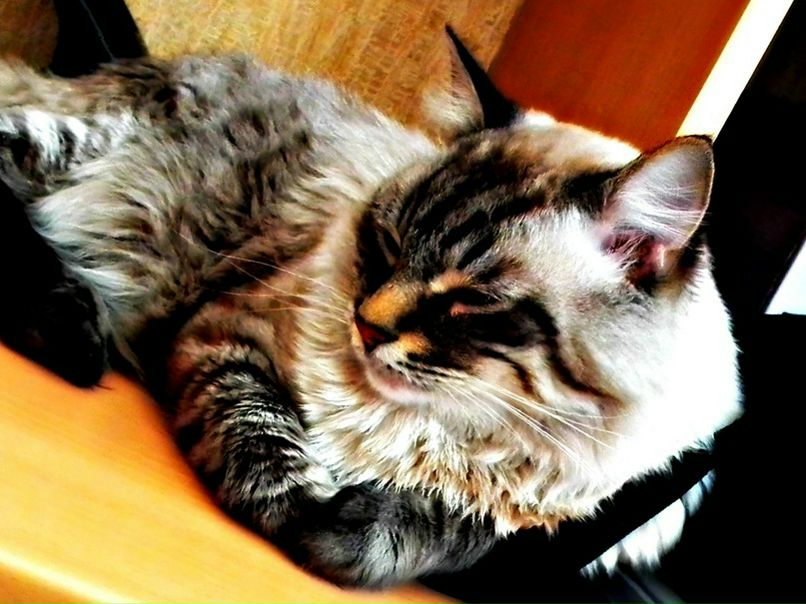 №35, Денис Дудник, Санкт-Петербург, Россия №35, Денис Дудник, Санкт-Петербург, Россия