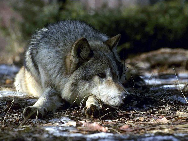 Саша Коваль, Украина, Киев