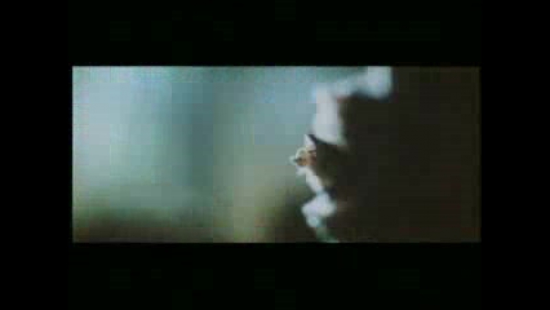 Zombi