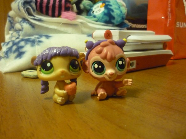 Люба Лпс-Ферби, Россия, Новосибирск