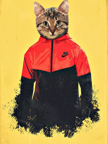 Αндрей Κовалев, Россия, Москва