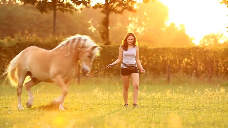 Golden Sunset Shilas Eva Fantastic
