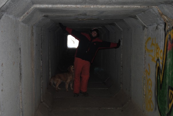 №52, Виталий Вучкан, Хуст №52, Виталий Вучкан, Хуст