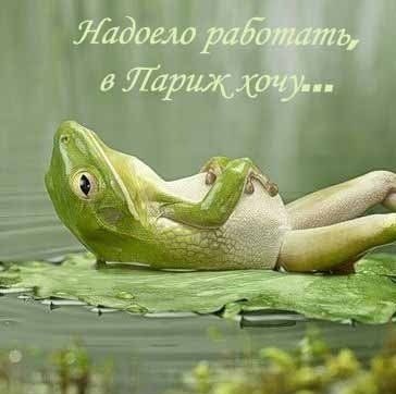 №116, Юлия Авсеенко, 35 лет, Могилёв №116, Юлия Авсеенко, 35 лет, Могилёв