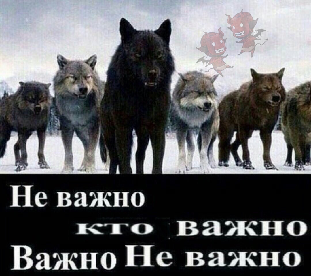 vlwaFe3lzX0.jpg