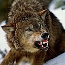 №12, Марат Леков, Владикавказ, Россия №12, Марат Леков, Владикавказ, Россия