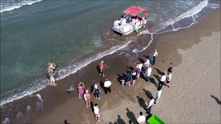 Морская черепаха Каретта-Каретта  на заповедном пляже в Дальяне.