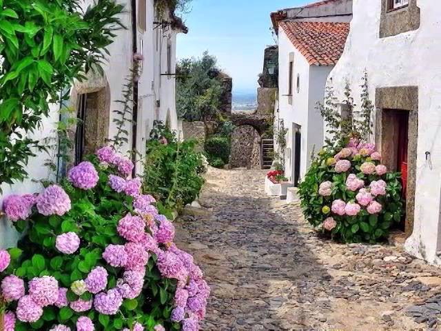 Alentejo - eu ouvi um passarinho