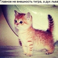Наталья Луконина