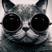 Саша Моисеев