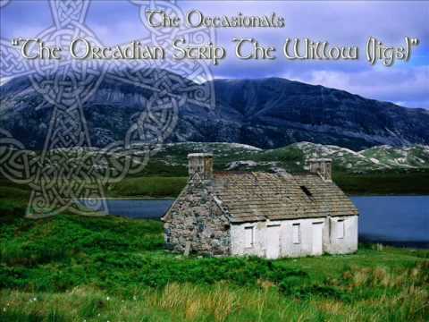 The Occasionals: The Orcadian Strip The Willow ( Scottish