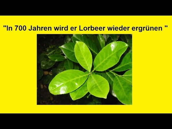 Katharer, Jesus, Umbruchstimmung, Neuorientierung, Neu Ausrichtung des