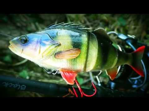 4 D perche 17cm Savage gear VS gros pike