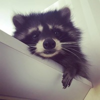Сергей Корнеев