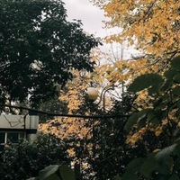 Вика Ангелова
