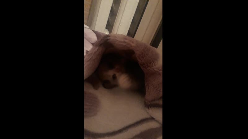 20191119_175744.mp4
