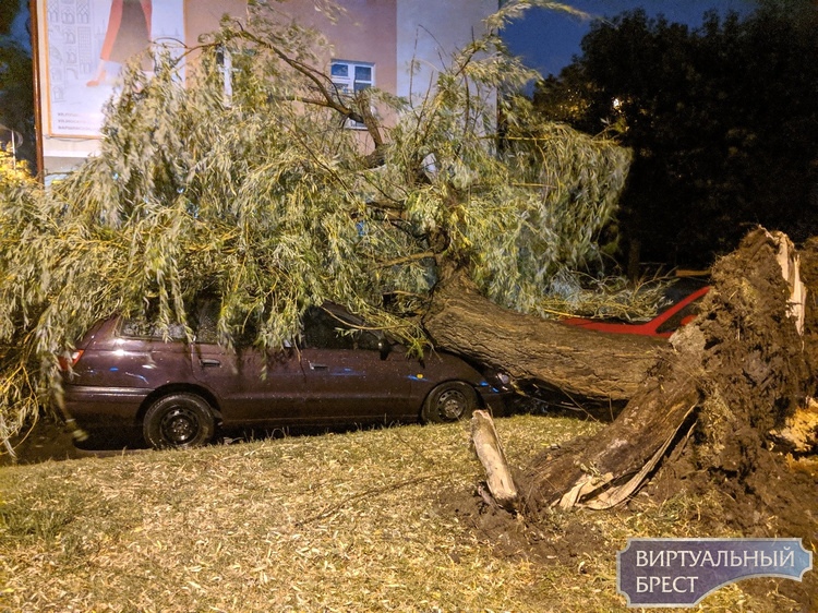 �� �������� ������� ������ �� �������������� ����������