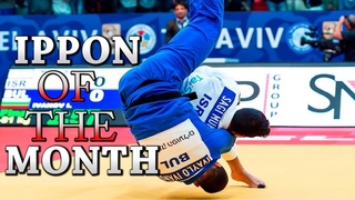 IPPON OF THE MONTH - Sagi Muki -