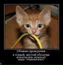 Фотография Андрей Свирин
