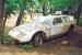 Степан Долбак фотография #11