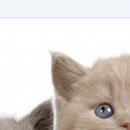 №146, Андрей Иванов, 13.04.1996 №146, Андрей Иванов, 13.04.1996