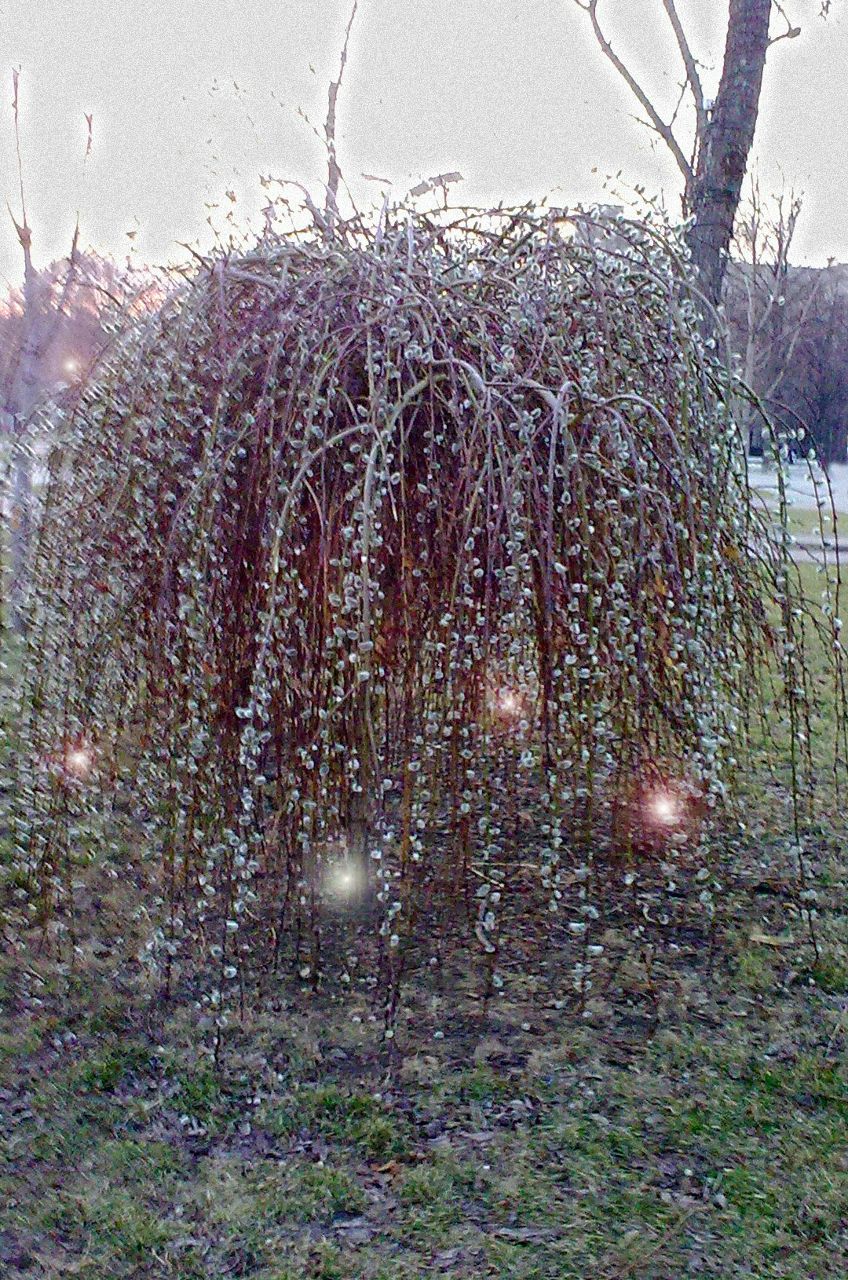 Иван Тиунов By4TM | Днепр (Днепропетровск)