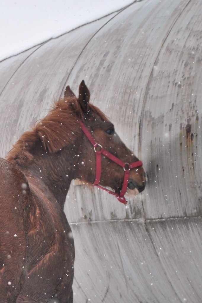 Татьяна Назарук Дерская девченка | Москва