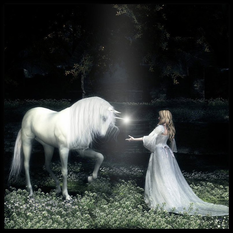 Оля Ермак | Полярный