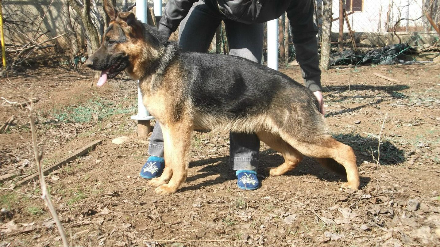 Наталья Смирнова | Симферополь