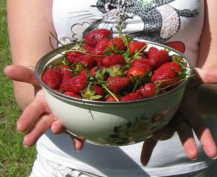 №1, Надия Тенищева №1, Надия Тенищева