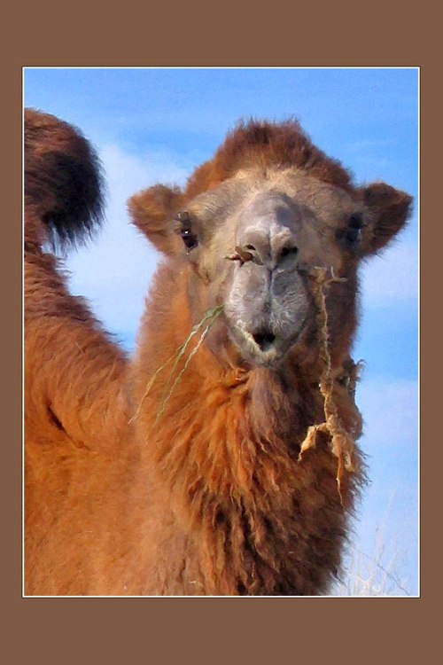 Дарья Киселёва | Санкт-Петербург