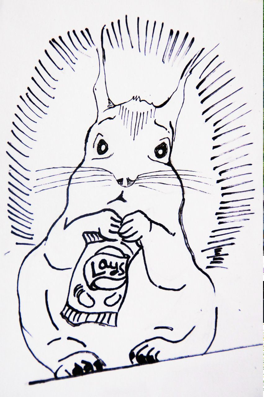 Максим Никитин KaZinaG | Санкт-Петербург