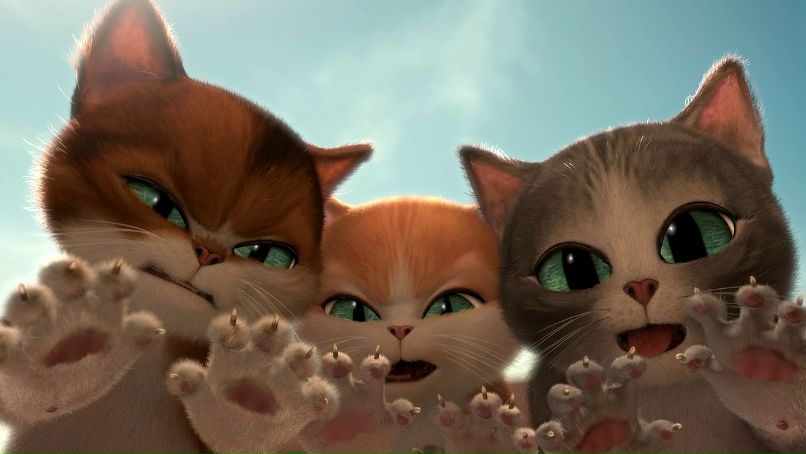 Александр Зелянин | Кировск