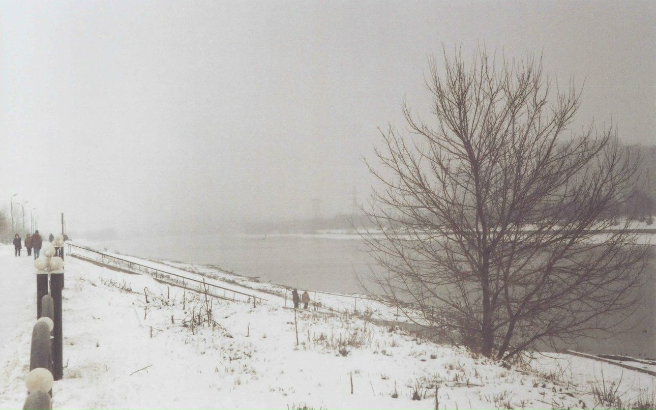 Илья Азаров | Los Angeles