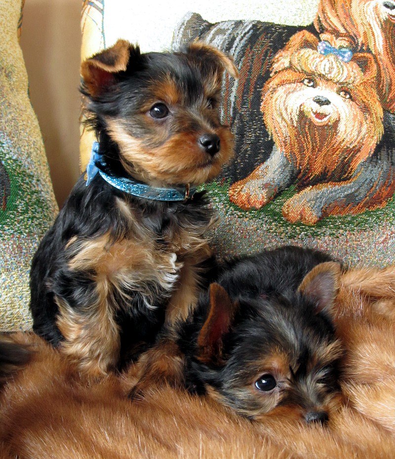 Костя Щербинский | Минск