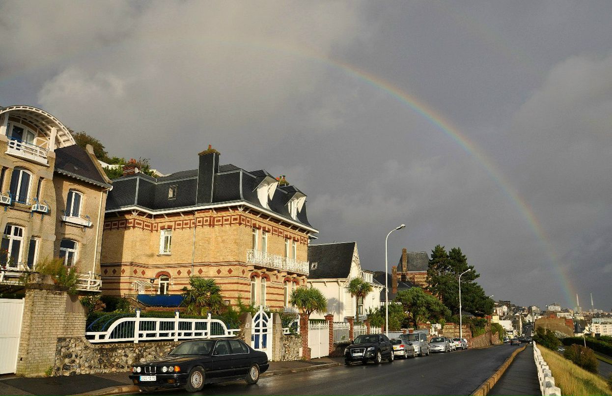 Дмитрий Костин | Le Havre